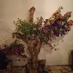 Villatereza 別荘