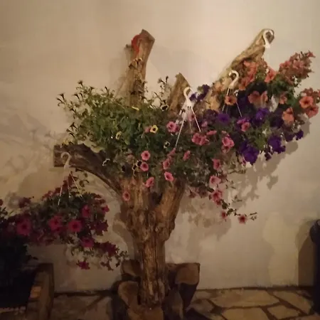 Villatereza Holiday home